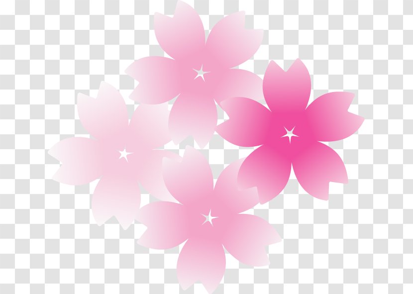 Japan Cherry Blossom - Purple - Sakura Flower Transparent PNG