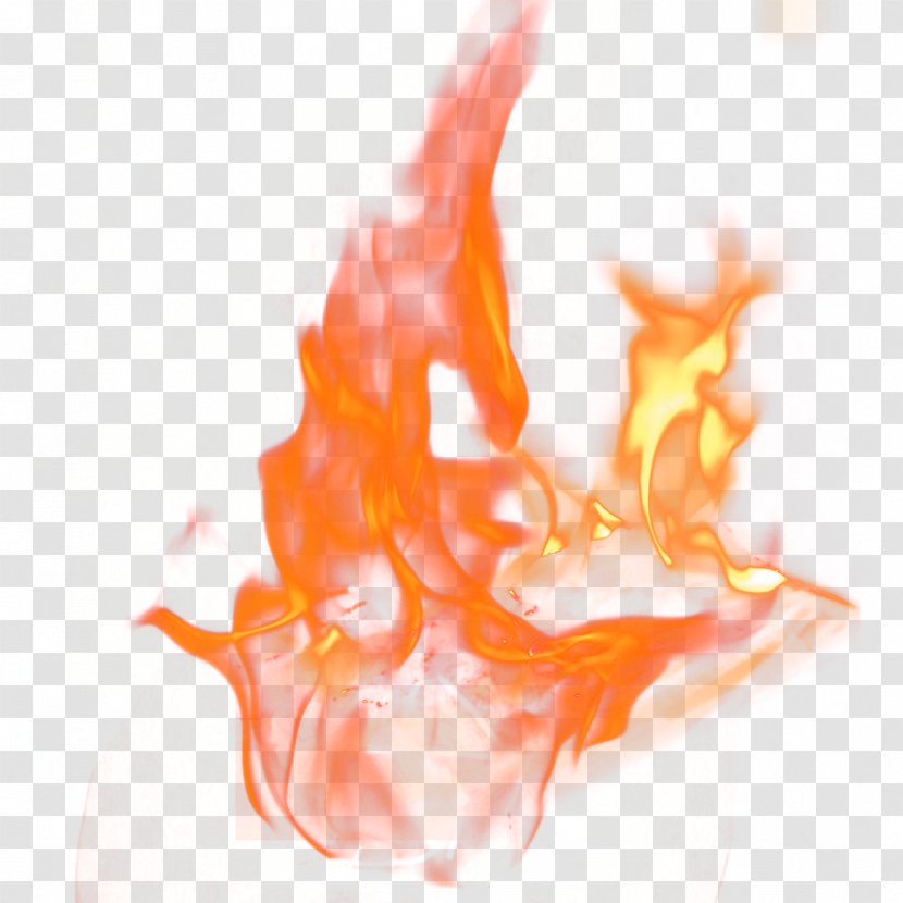 Flame Download - Raster Graphics - Red Transparent PNG