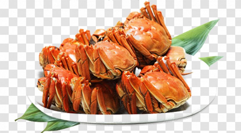 Xinghua Crabs - Tree - Watercolor Transparent PNG