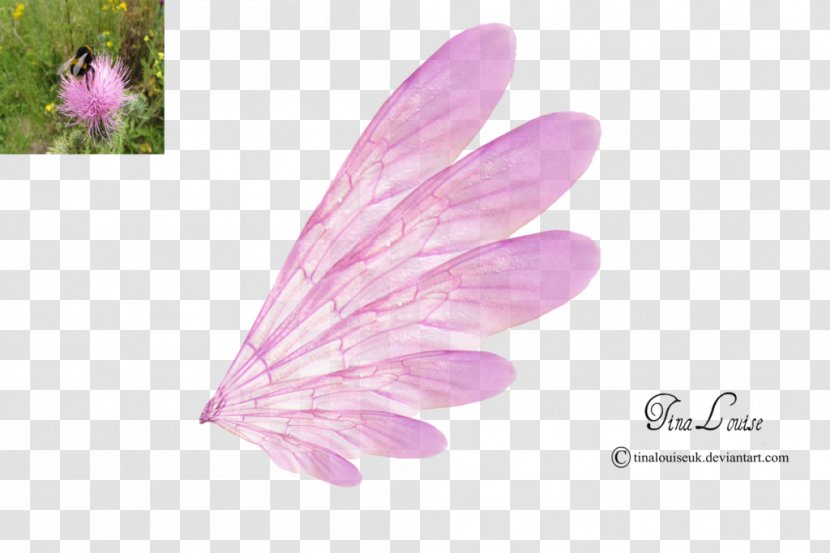 Fairy Clip Art - Flower - Rita Ora Transparent PNG