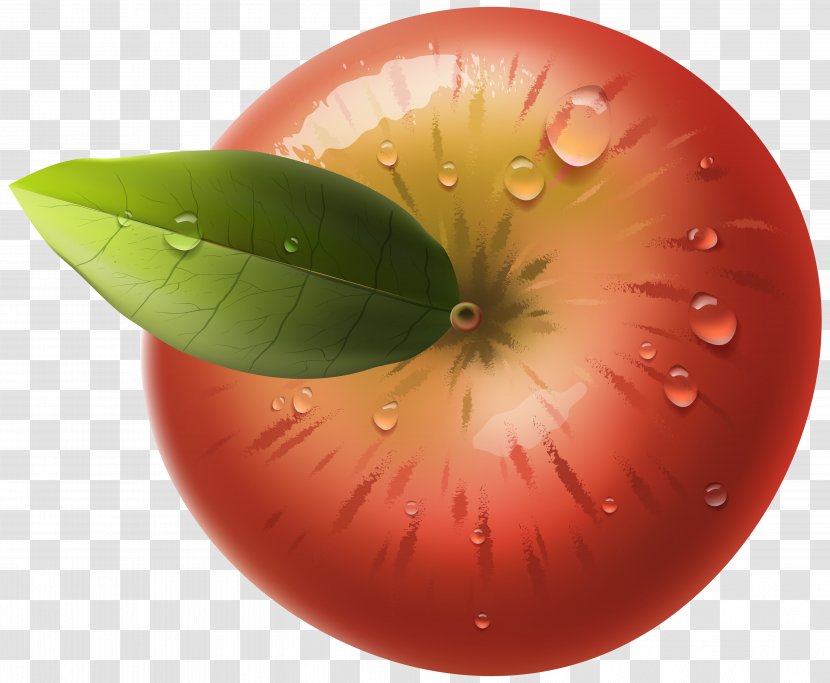 Apple Computer Network Clip Art - Produce - Red Image Transparent PNG
