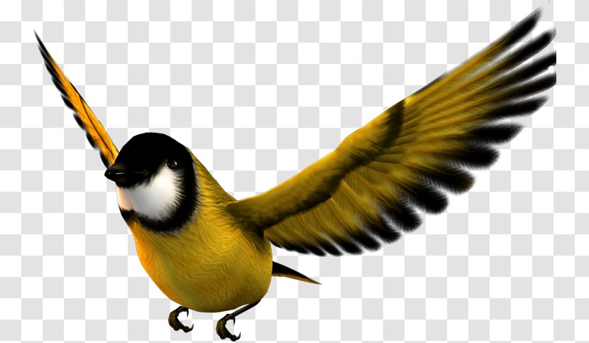 Bird Atlantic Canary Flight Desktop Metaphor - Organism Transparent PNG