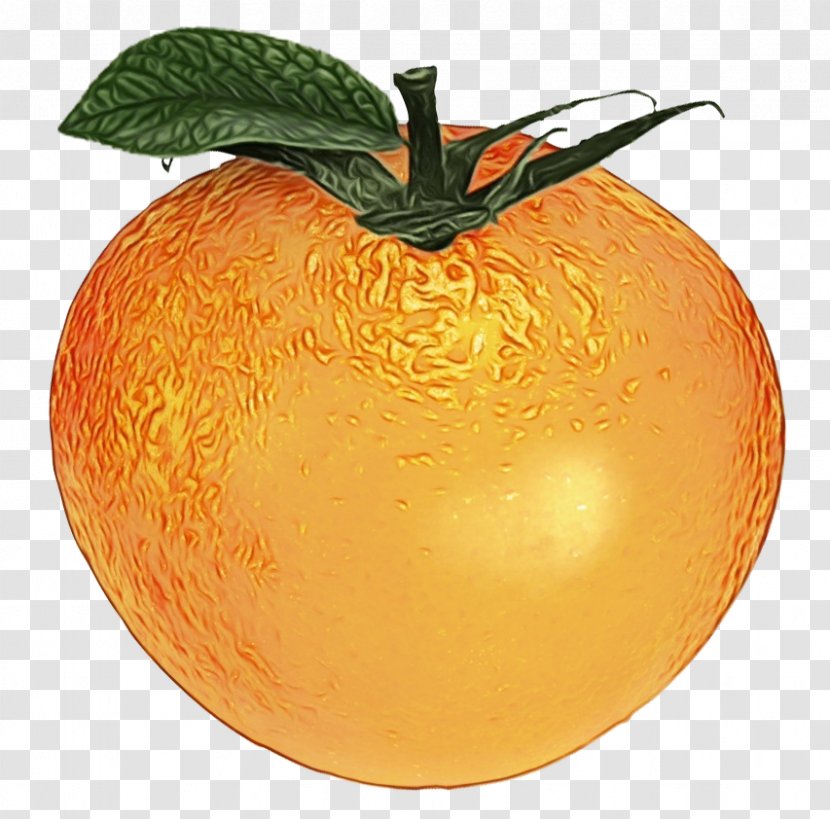 Orange - Apple - Muskmelon Transparent PNG