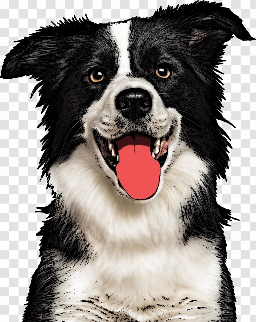 Border Collie Rough Beagle Dog Breed Pet - Painting - Jiffy Pop Transparent PNG
