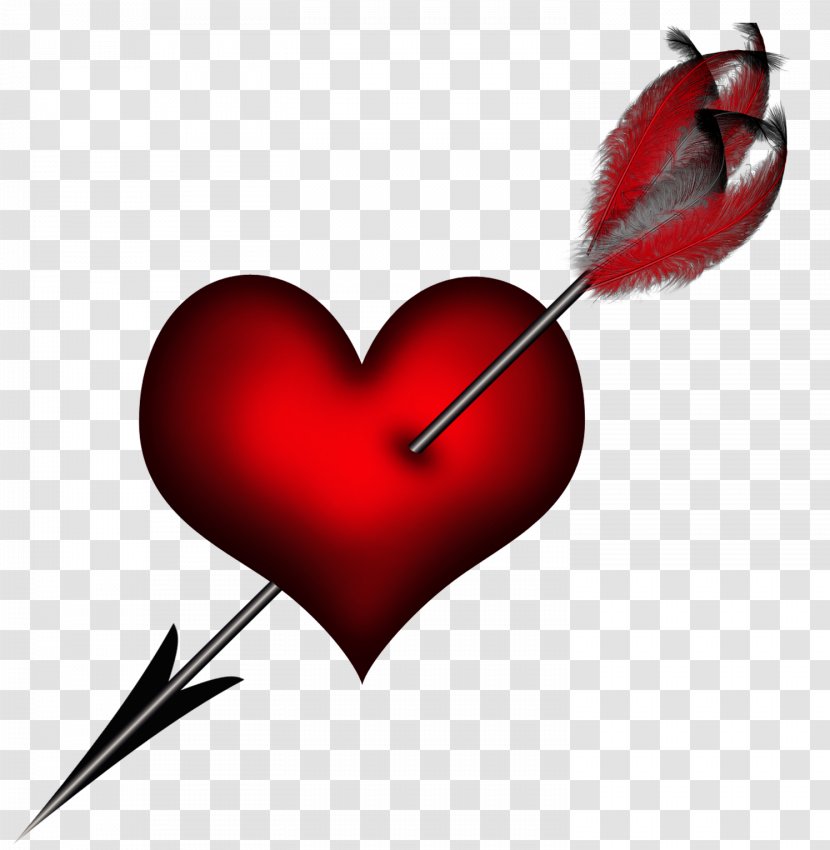 Heart Arrow Clip Art - Flower - Broken Transparent PNG