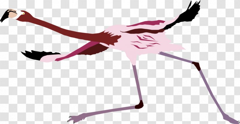 Pink M Beak Neck - Bird - American Flamingo Transparent PNG