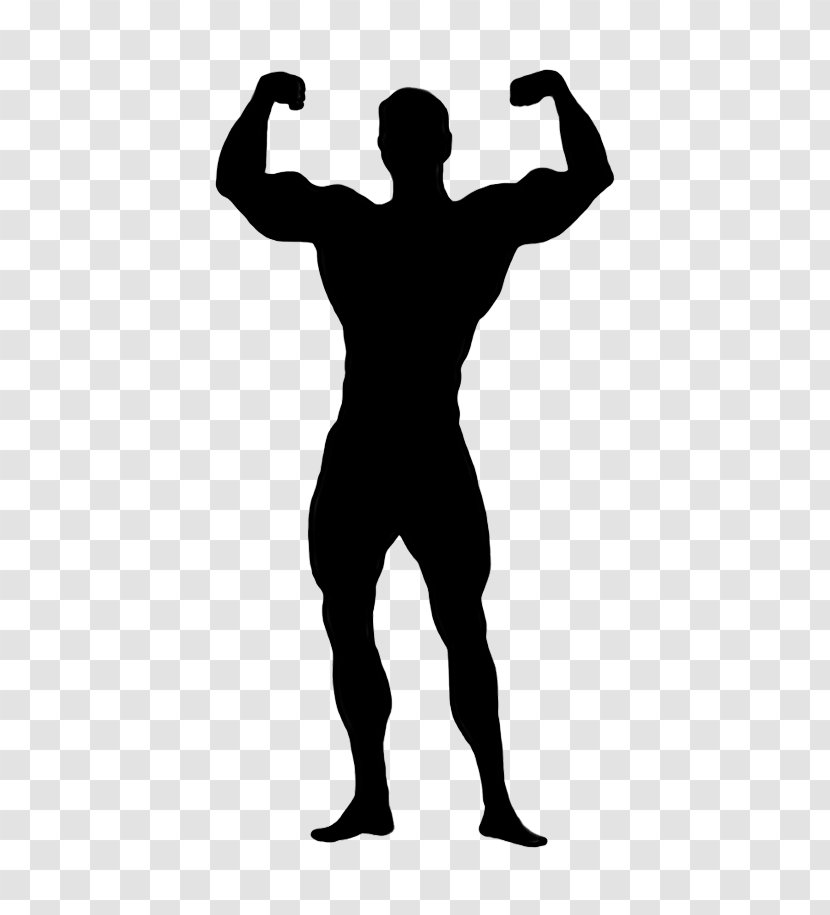 Bodybuilding Standing Clip Art Muscle Silhouette Transparent PNG