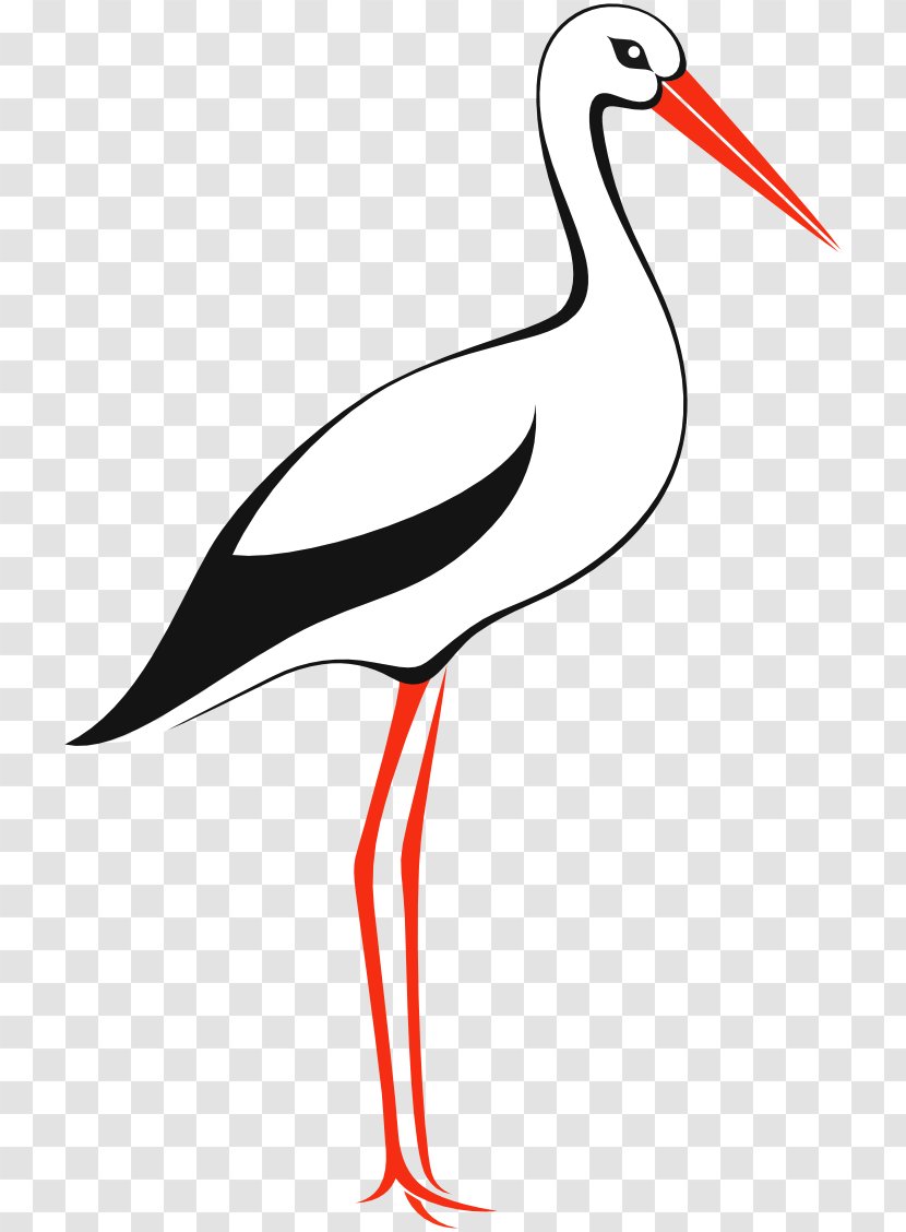 White Stork IStock Clip Art - Line - Bird Transparent PNG