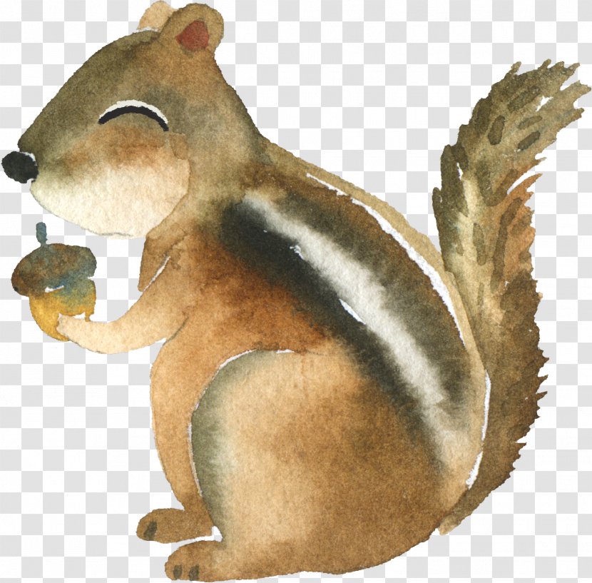 Zanj Sun Squirrel Mug Poison Boyfriend - Gift - Woodland Transparent PNG