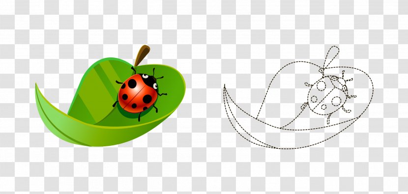 Coccinella Septempunctata - Highdefinition Television - Cartoon Painted Leaves Ladybird Artwork Transparent PNG