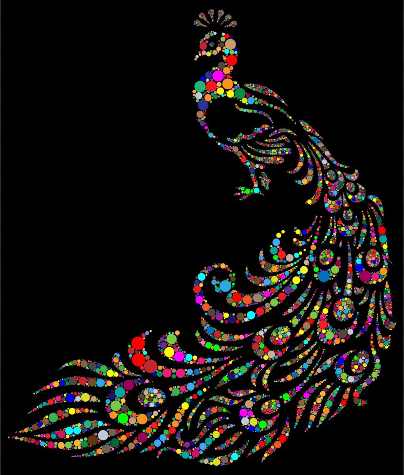 Bird Peafowl Color Clip Art - Peacock Transparent PNG