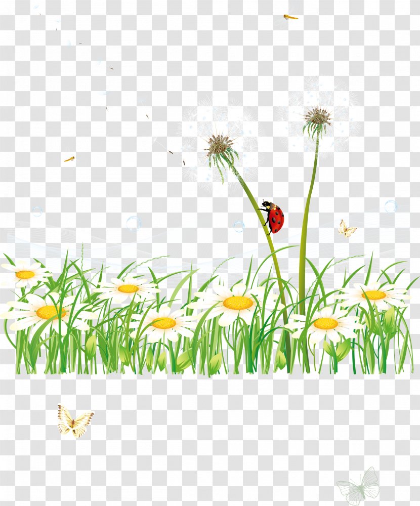 GRASS GIS Euclidean Vector - Floristry - Grass Transparent PNG