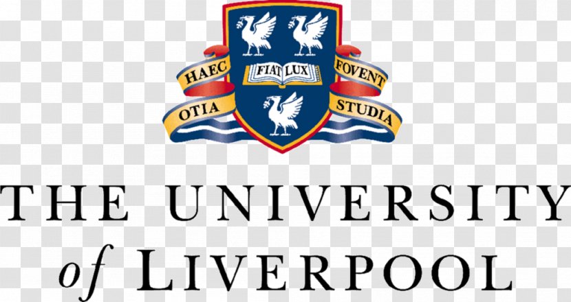 University Of Liverpool Aston UCL Advances Adelaide - Student Transparent PNG