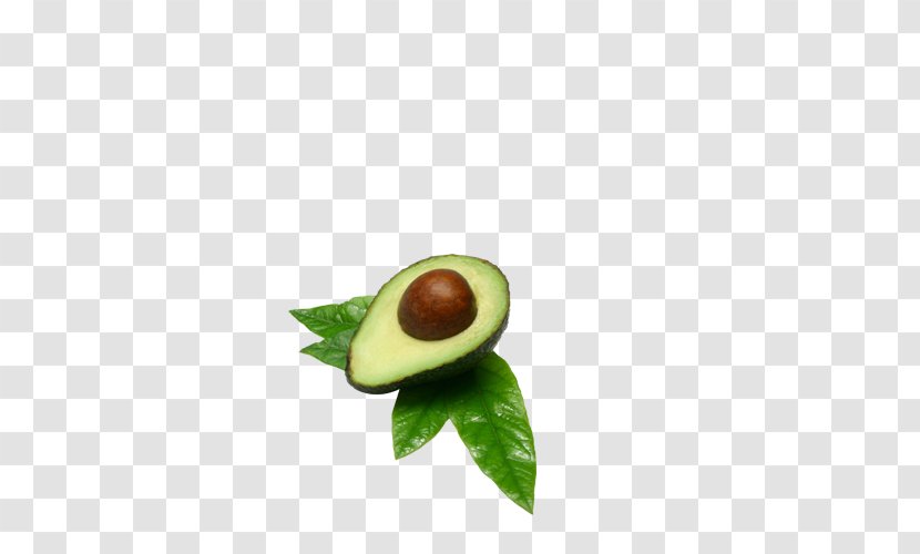 Hass Avocado Icon Transparent PNG