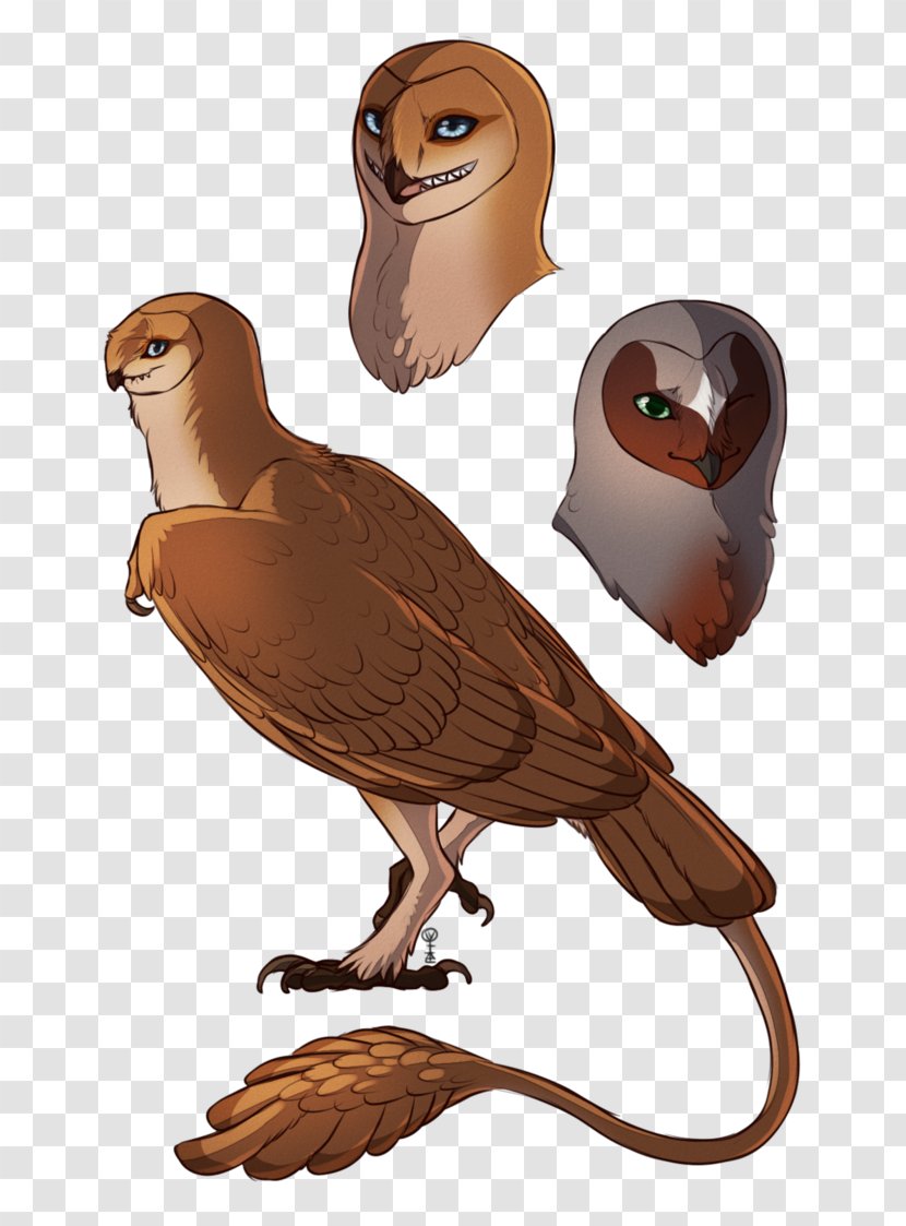 Owl Beak Cartoon Neck Transparent PNG