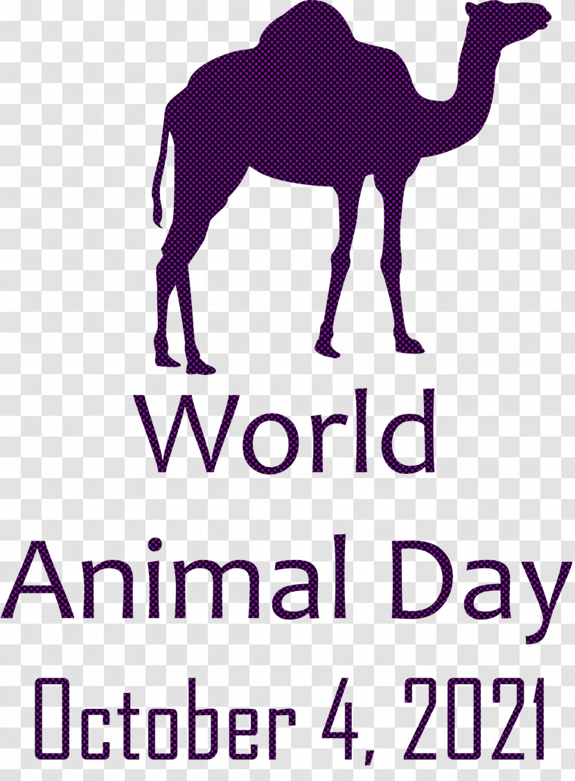 World Animal Day Animal Day Transparent PNG