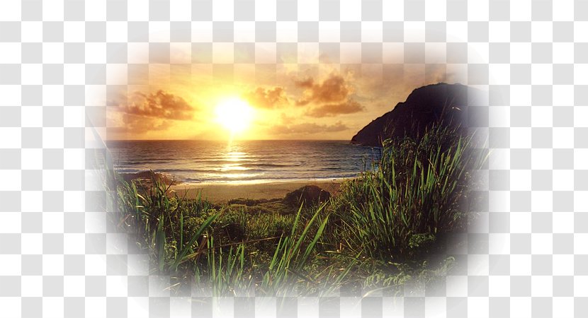 Sunset Landscape Painting Astre - Horizon - Car Payment Transparent PNG