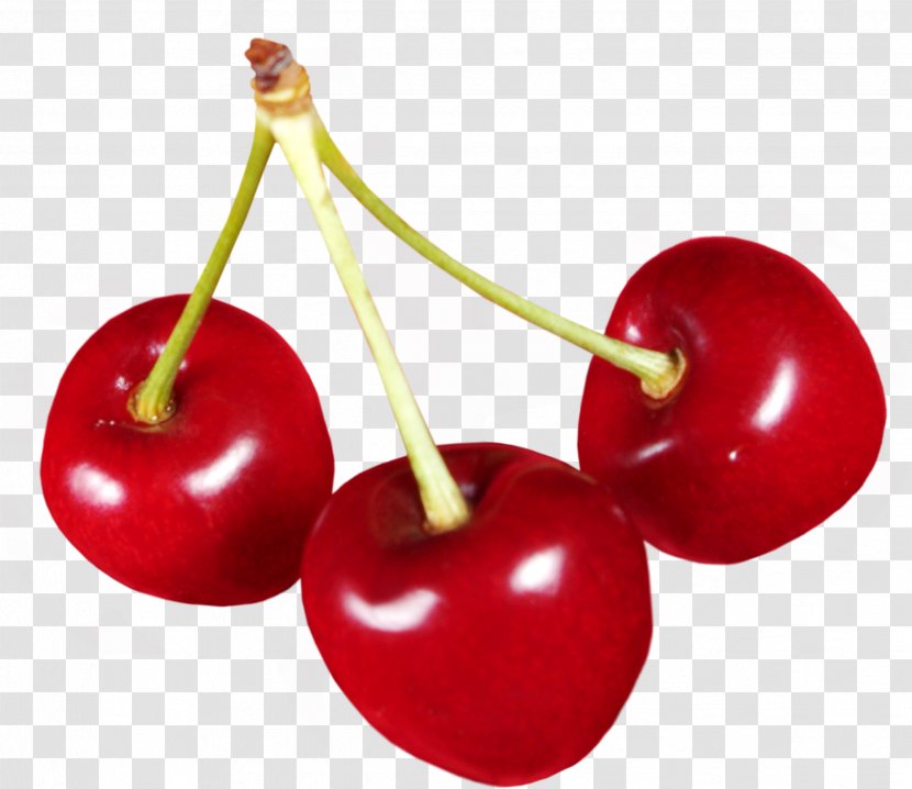 Ice Cream Cherry Dessert Fruit - Malpighia - Cherries Image Transparent PNG