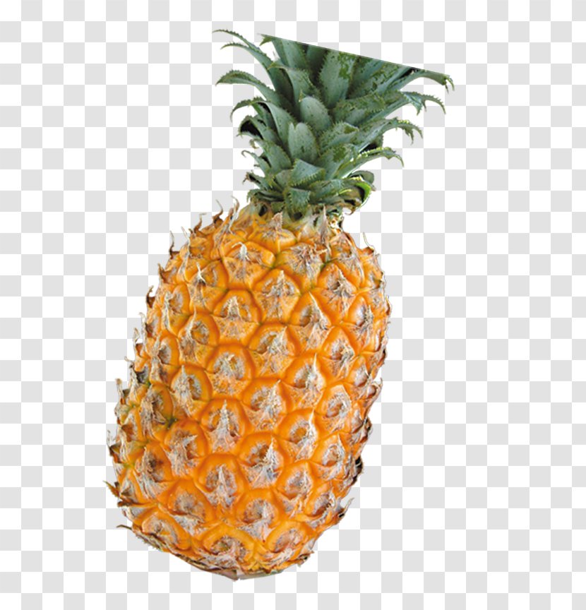Pineapple Fruit Food Euclidean Vector - Flowerpot Transparent PNG