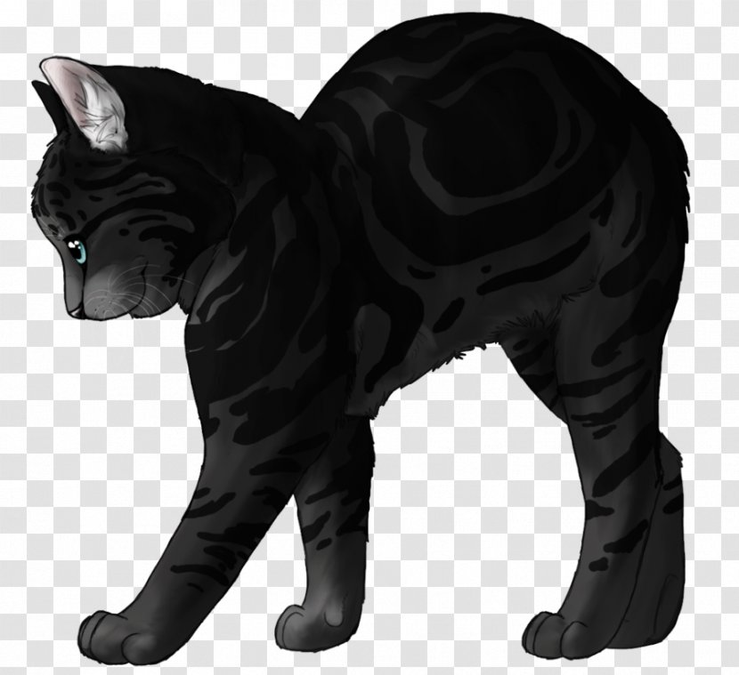 Whiskers Cat Drawing Dog Fur Transparent PNG