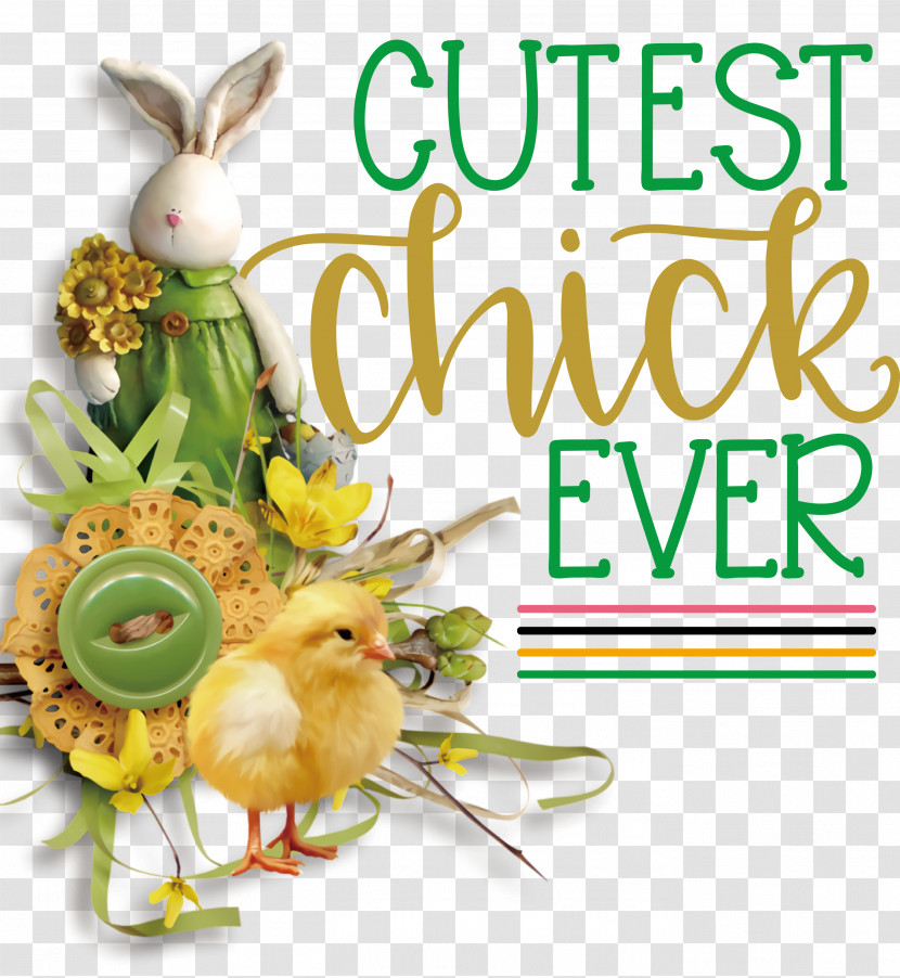 Happy Easter Cutest Chick Ever Transparent PNG