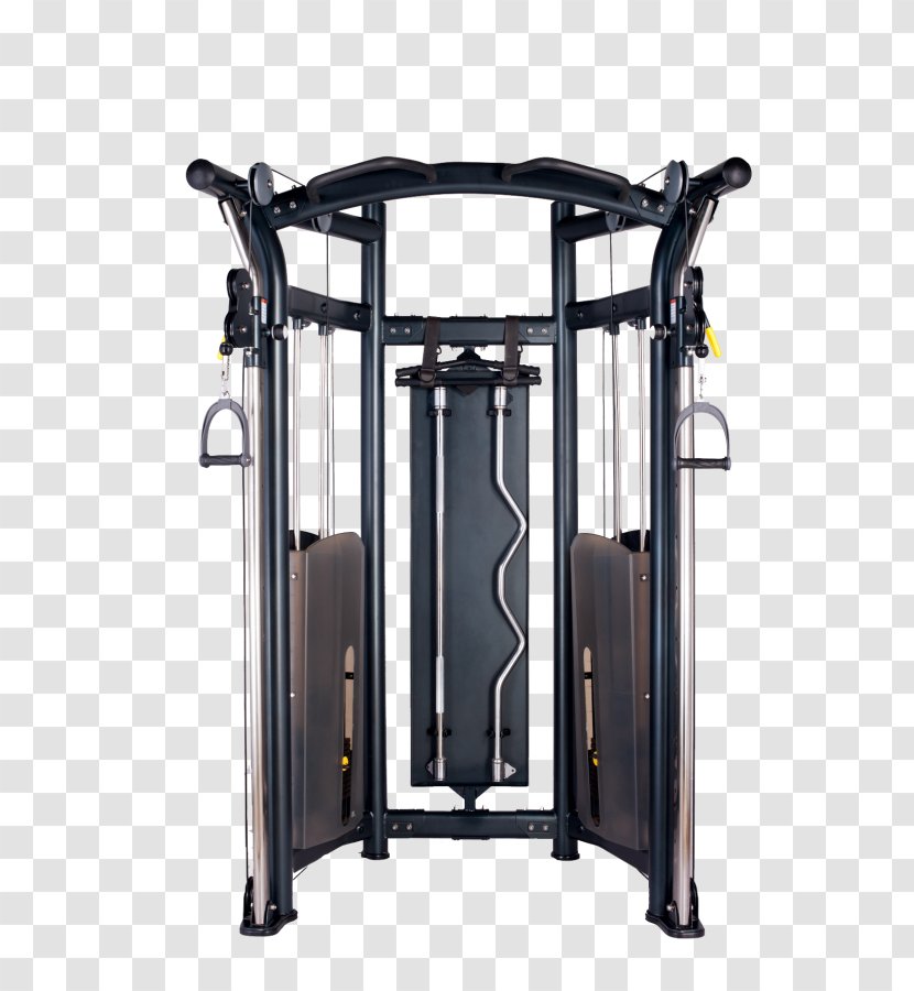 Weight Training Exercise Equipment Fitness Centre Machine - Physical - Bodybuilding Transparent PNG