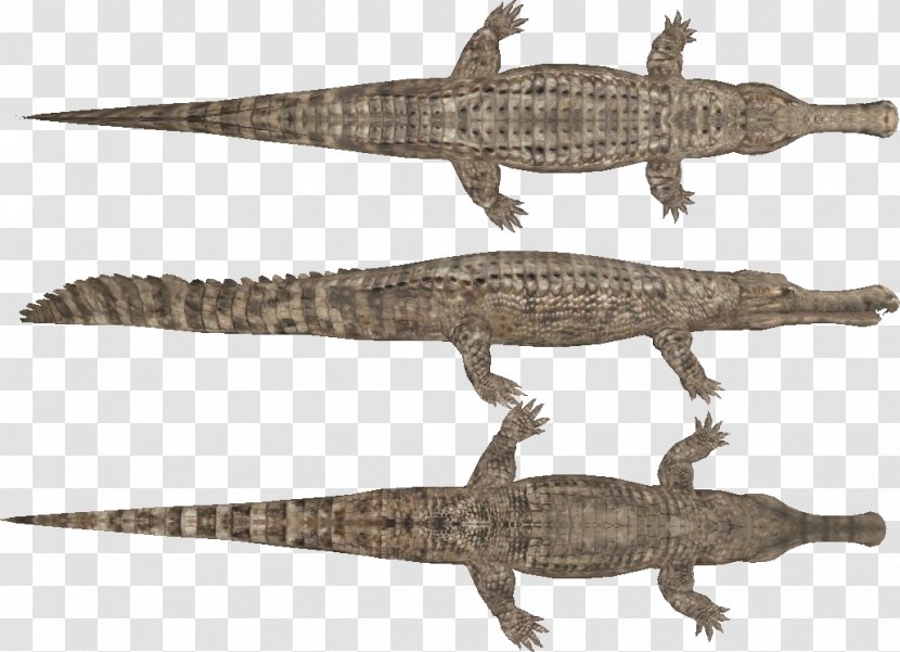 Nile Crocodile Sarcosuchus Ornithocheirus Pteranodon Transparent PNG
