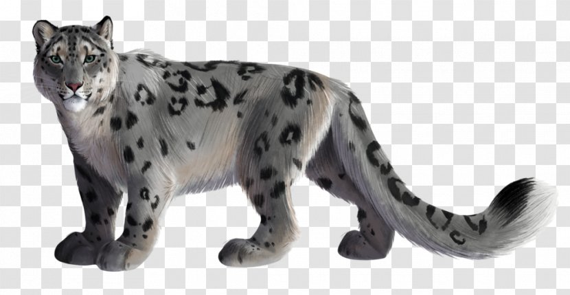 Snow Leopard Image Animal - Vertebrate Transparent PNG