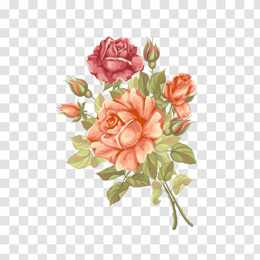 Rose Flower Greeting Card - Dahlia - Vintage Roses In Full Bloom Transparent PNG