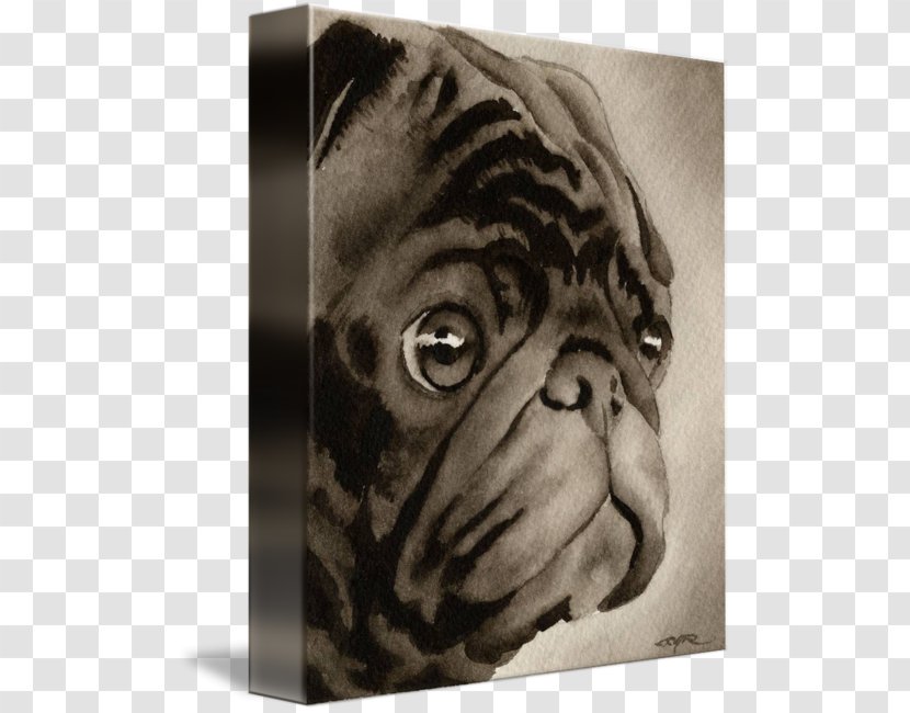 Pug Dog Breed Watercolor Painting Art - Drawing Transparent PNG