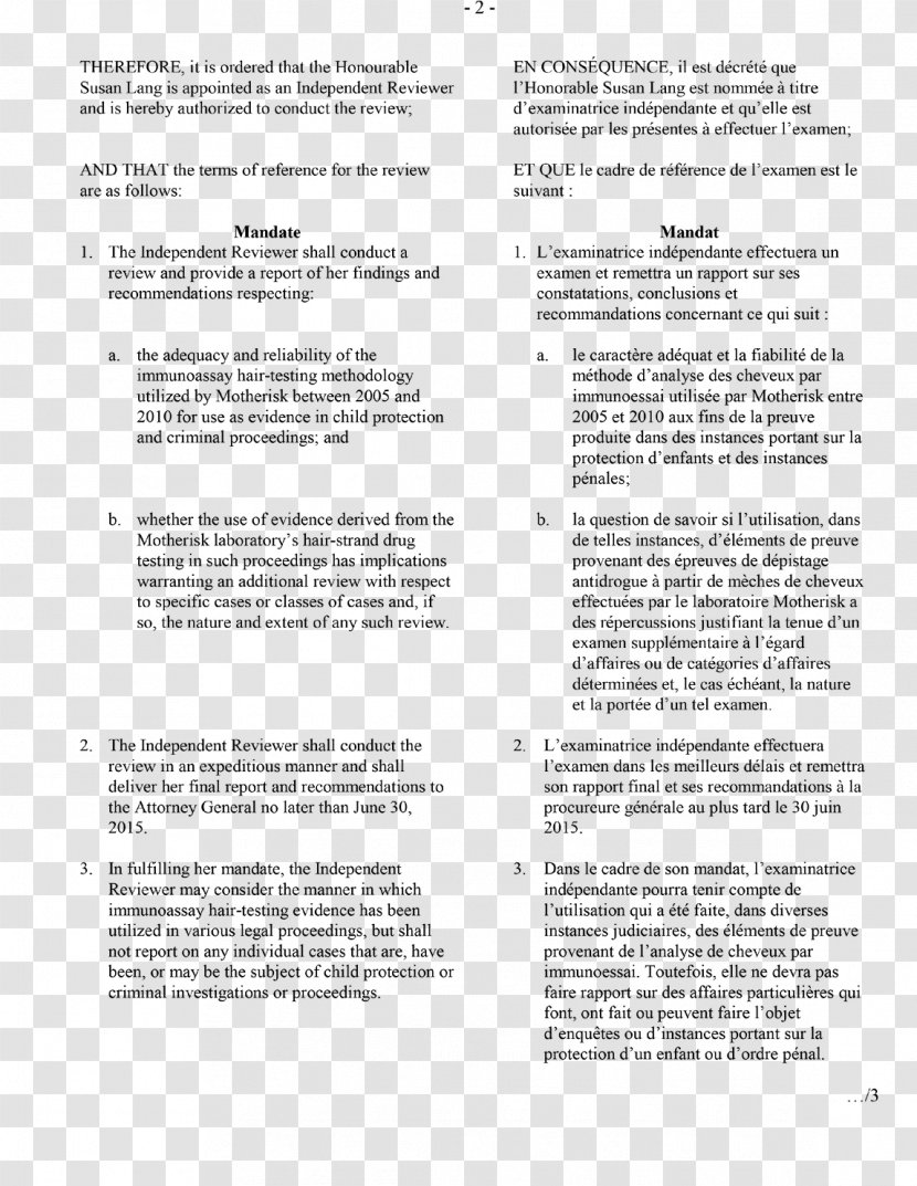 Conclusie Text Organization Test Evidence - Docx Resume Transparent PNG