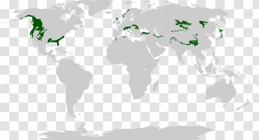 World Map Geography Information - Biome - Deciduous Transparent PNG