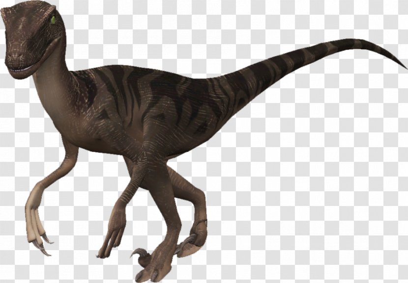 Zoo Tycoon 2 Velociraptor Video Game Tyrannosaurus - Thylacine Transparent PNG