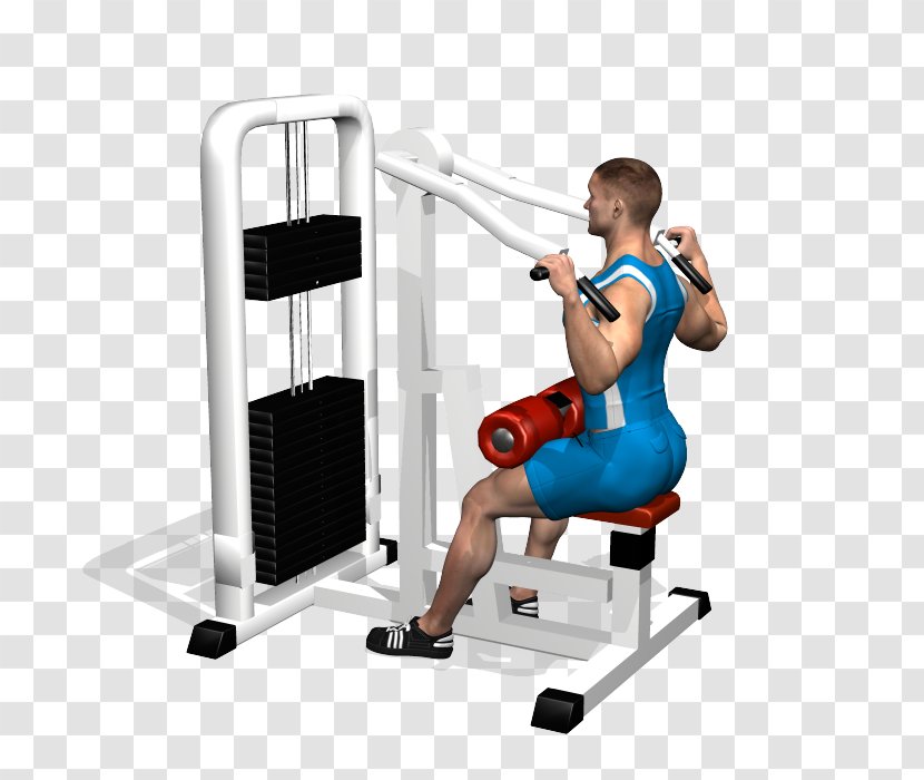 Pulldown Exercise Shoulder Fitness Centre Human Back Latissimus Dorsi Muscle - Dumbbell Transparent PNG