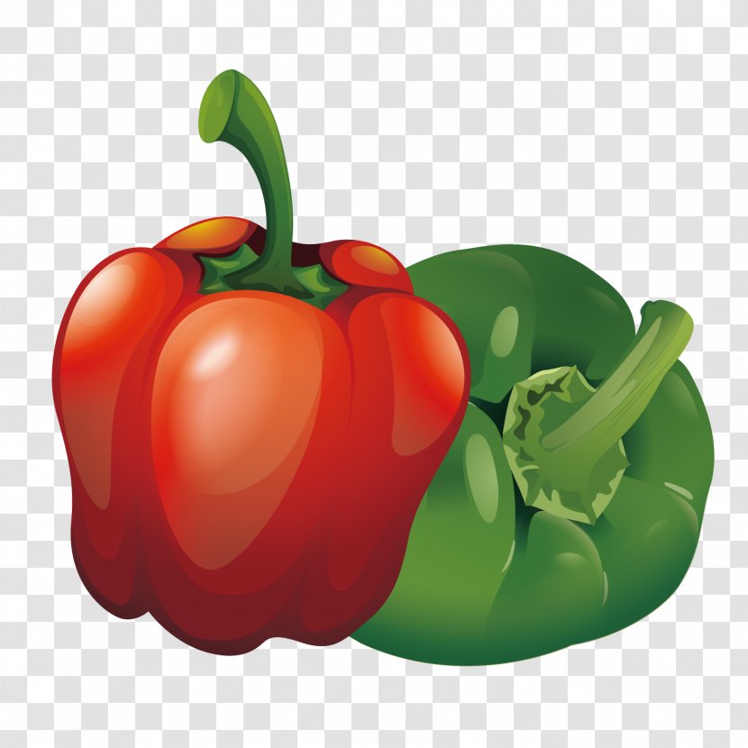 Tabasco Pepper Habanero Cayenne Bell Euclidean Vector - Chili - Space Transparent PNG