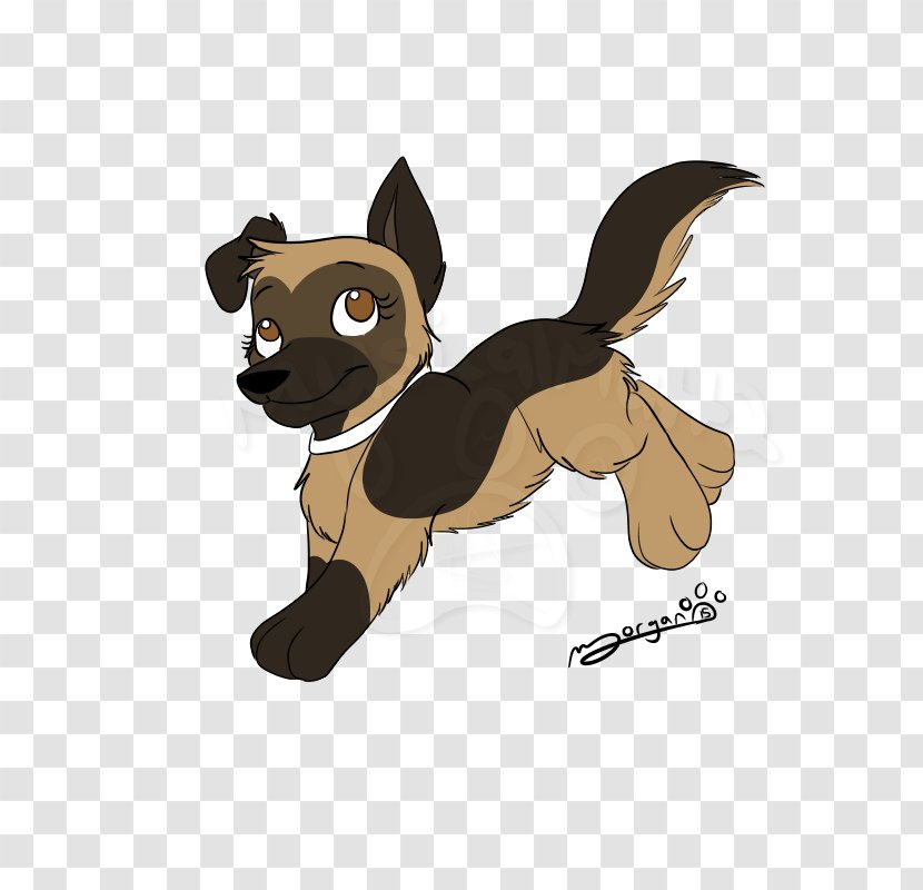 Cat Dog Breed Puppy - Vertebrate Transparent PNG
