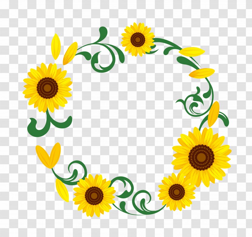 Common Sunflower Download Illustration - Floristry - Garland Transparent PNG