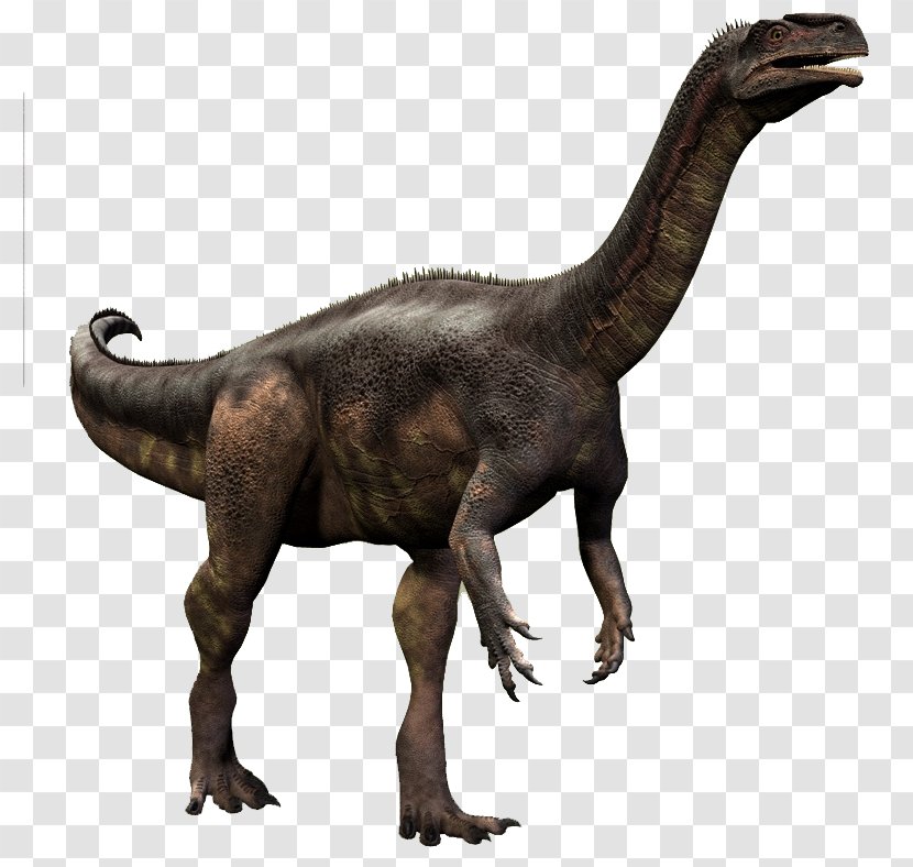 Velociraptor Plateosaurus Teratosaurus Rhamphorhynchus Tyrannosaurus - Fauna - Dinosaur Transparent PNG