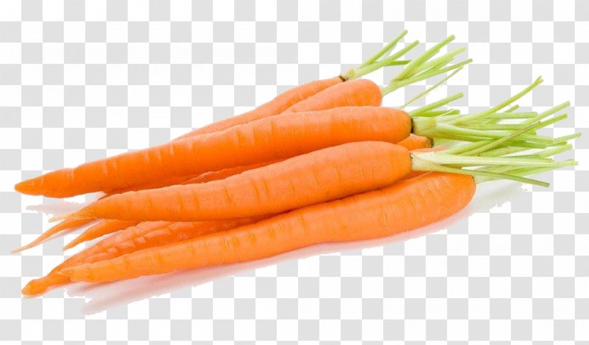 Baby Carrot Vegetable Orange Clip Art - Natural Foods - Hd Transparent PNG
