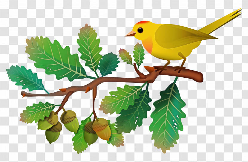 European Robin Birds Old World Orioles Leaf Beak Transparent PNG