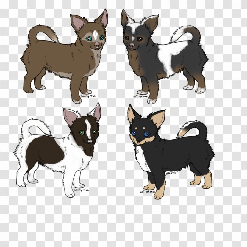 Chihuahua Puppy Dog Breed Toy Group (dog) - Carnivoran Transparent PNG