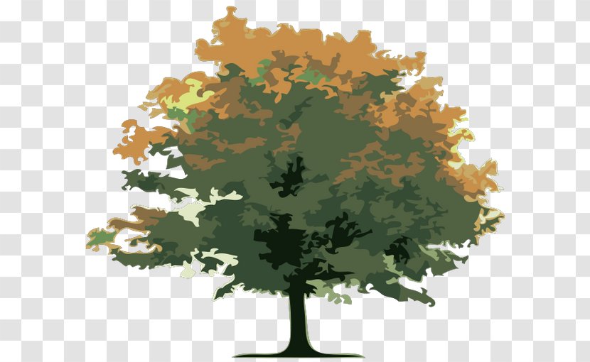 Tree Gaza Timber - Silhouette Transparent PNG