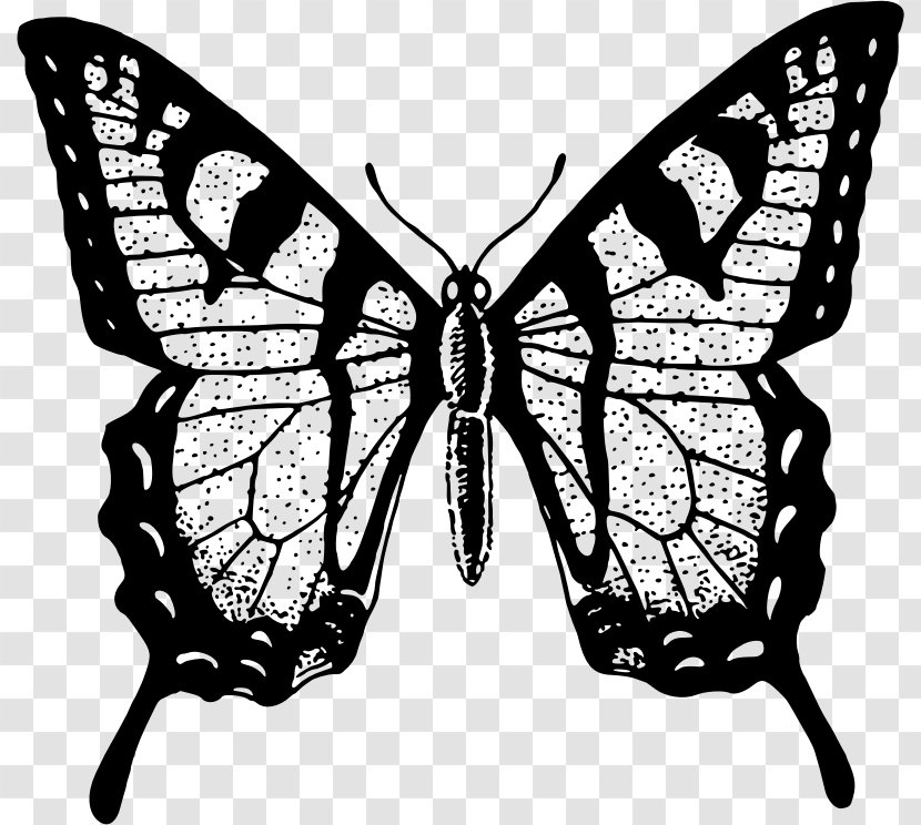 Monarch Butterfly Paper Decal Sticker - Drawing Transparent PNG