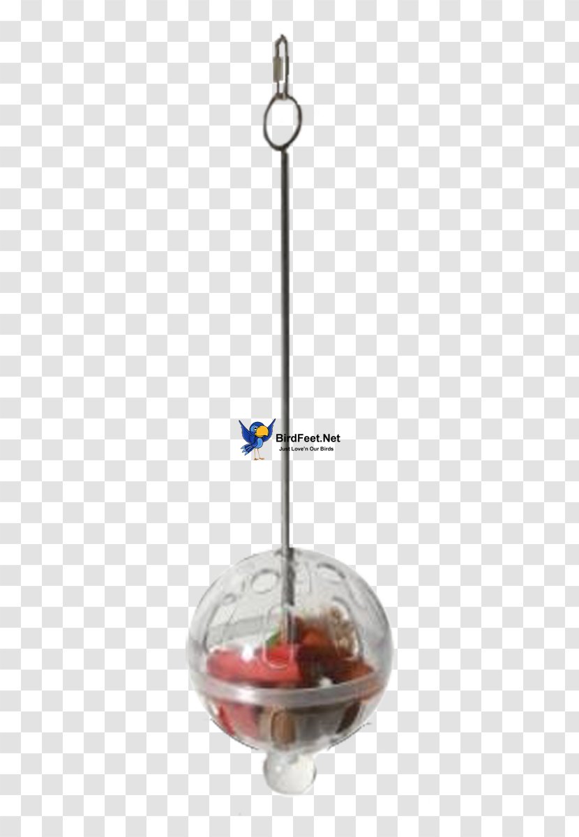 Lovebird Budgerigar Beak Cockatiel - Plastic Toy Balls Transparent PNG