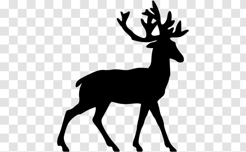 White-tailed Deer Reindeer Clip Art - Blacktailed - Blackdeer Transparent PNG