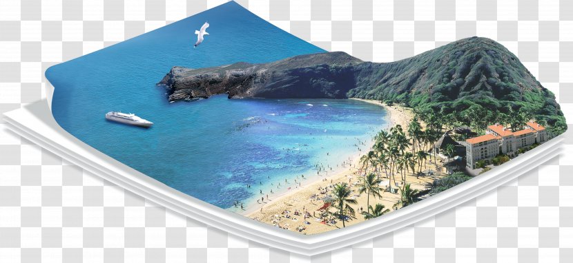 Paper Illustration - Beach Transparent PNG