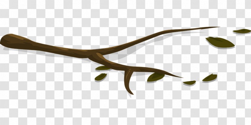 Twig Plant Stem Close-up - Closeup - Brown Branch Transparent PNG