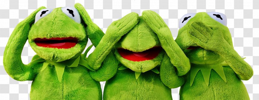 Kermit The Frog Stock.xchng Business Management Stuffed Animals & Cuddly Toys - Inventory Transparent PNG