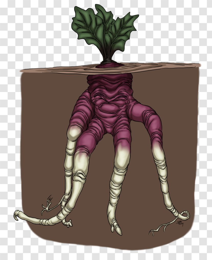 Illustration Tree Cartoon Legendary Creature - Beet Mockup Transparent PNG