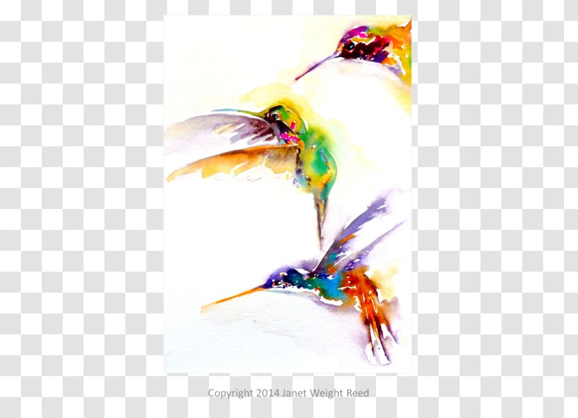 Hummingbird Beak Art Cat - Pollinator - Watercolor Cactus Collection Transparent PNG